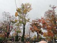 DSC00894