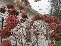 DSC00898