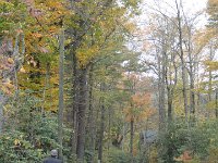 DSC00901