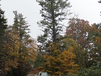 DSC00904