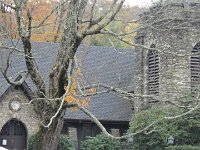 DSC00910
