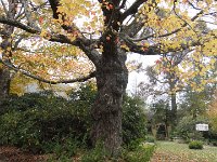 DSC00913