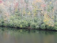 DSC00936