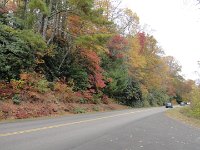 DSC00942