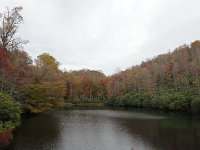 DSC00943