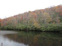 DSC00944
