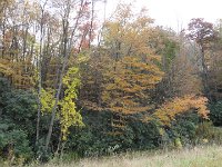 DSC00947