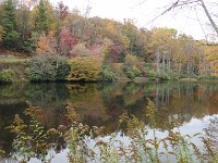 DSC00951