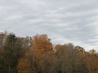 DSC00960