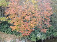 DSC00971