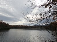 DSC00978
