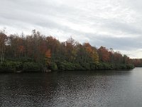 DSC00979