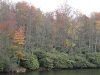DSC00980