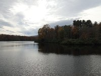 DSC00981