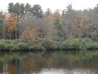 DSC00983
