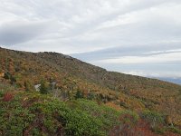 DSC00993