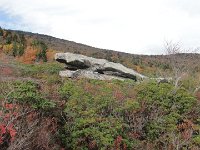 DSC00999
