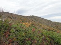 DSC01000