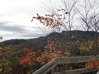 DSC01001