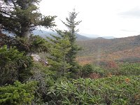 DSC01003