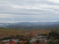 DSC01005