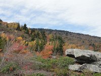 DSC01008