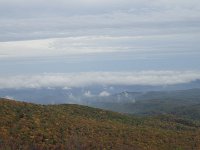 DSC01009