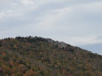 DSC01013