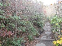 DSC01038