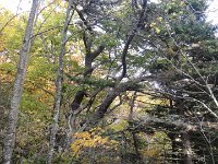 DSC01041