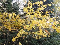DSC01051