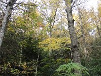 DSC01053