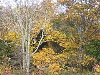 DSC01069