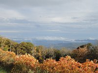 DSC01075