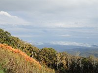 DSC01081
