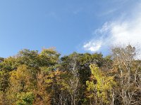 DSC01085