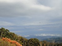 DSC01086