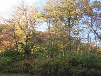 DSC01095
