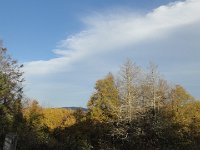 DSC01096