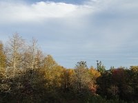 DSC01097