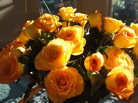 DSC01116