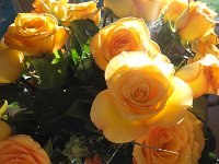DSC01118