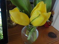 DSC01120