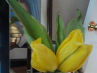 DSC01121