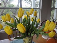 DSC01139