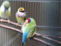 DSC01177