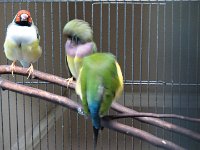 DSC01178