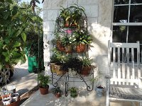 DSC09877