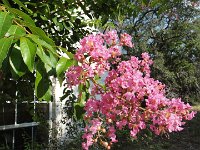 DSC09879