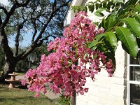 DSC09880